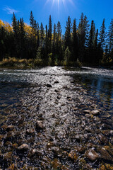 A river with a lot of rocks in it