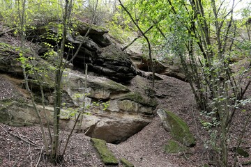 Sandstein Landschaft in Niederösterreich bei Wolkersdorf, Höle im Wald