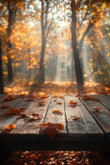 Colorful Fall woods with foliage trees. Seasonal theme for greeting card background.