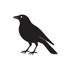 Obraz premium Crow silhouette vector illustration