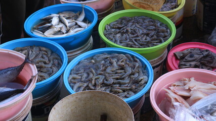 Tuna, snapper, shrimp, squid, are sold in traditional Indonesian market