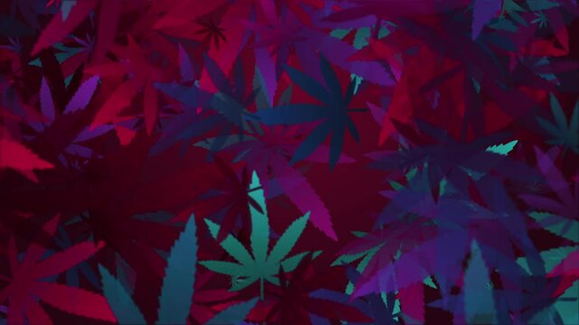 Marijuana and cannabis leaf watercolor loop animation. Abstract purple background.