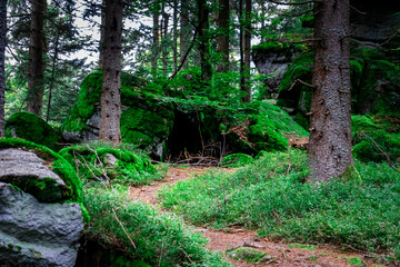 Hiking to Saustein and Proeller Summits in the Bavarian Forests Germany.