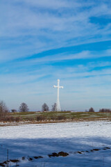 Landscapes - Forest - Europe, Romania, Suceava region