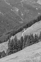 Sommerzeit in den Alpen