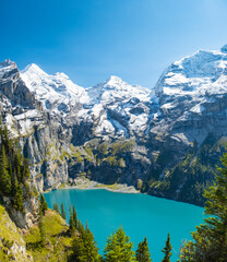 Oeschinensee lake with snow Bluemlisalp mountain on sunny summer day. Panorama of the azure lake Oeschinensee, pine forest in Swiss alps, Kandersteg. Switzerland.