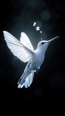 Obraz premium A white hummingbird in flight against a dark background with a light source behind it, creating a halo effect around the bird.