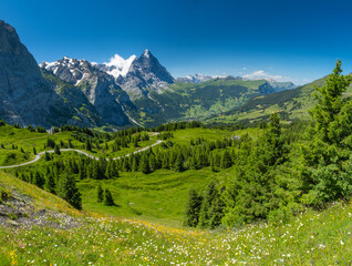View on the alpine valley Grindelwald. Jungfrau, Switzerland. Under the Bernese alps. Mountain...