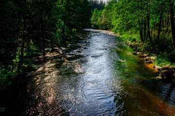 Hiking along ILZ River near Diessenstein in the Bavarian Forests Germany.