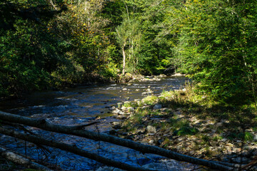 Hiking along ILZ River near Diessenstein in the Bavarian Forests Germany.