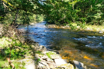 Hiking along ILZ River near Diessenstein in the Bavarian Forests Germany.