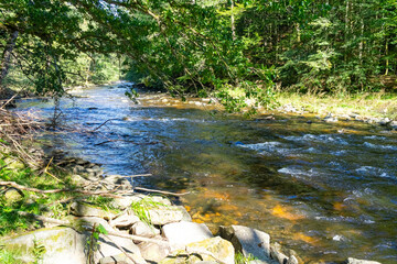 Hiking along ILZ River near Diessenstein in the Bavarian Forests Germany.