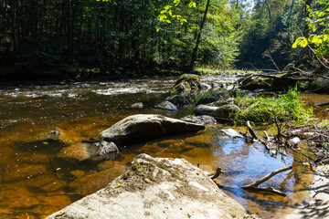 Hiking along ILZ River near Diessenstein in the Bavarian Forests Germany.
