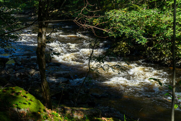 Hiking along ILZ River near Diessenstein in the Bavarian Forests Germany.