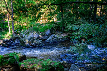 Obraz premium Hiking along ILZ River near Diessenstein in the Bavarian Forests Germany.