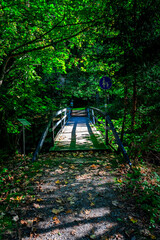 Hiking Footbridge ILZ River near Diessenstein in the Bavarian Forests Germany.