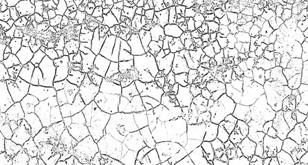 seamless pattern with net and birds, a black and white drawing of cracked walls, vintage grunge texture,  a black and white drawing of a cracked land, grunge texture of old paint wall, vintage cracked