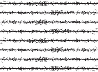 Fototapeta premium a set of black and white lines, a set of black and white lines with branches, barbed wire seamless pattern, 