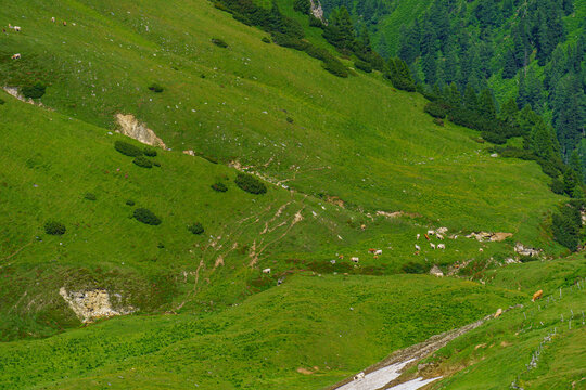 Mittersill in den &ouml;sterreichischen Alpen