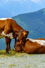 Mittersill in den &ouml;sterreichischen Alpen