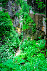Hiking through the Giessenbach Gorge in Bavaria Germany