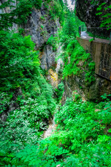 Obraz premium Hiking through the Giessenbach Gorge in Bavaria Germany