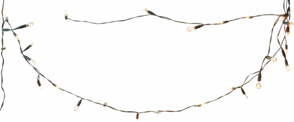 Festive String Lights Warm White Bulbs Holiday Decor Party Lights Illumination