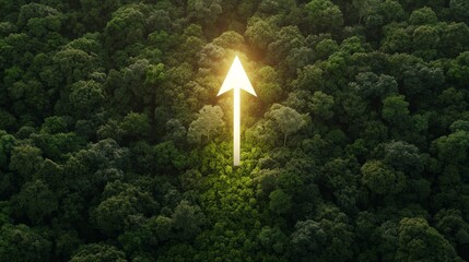 Fototapeta premium A glowing arrow piercing through a deforested area, representing the breakthrough of reforestation efforts and the restoration of natural habitats, set against a backdrop of vibrant, growing forests,