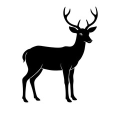 Fototapeta premium silhouette of a deer