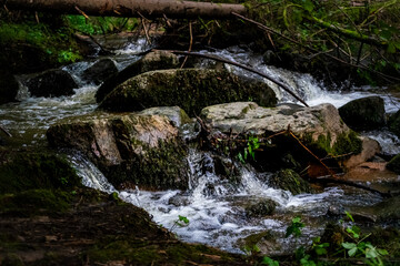 Hiking along Otterbach in the Otterbach Valley in the Bavarian Forests. Germany.