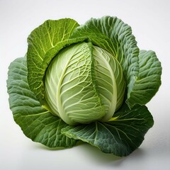 Fototapeta premium Cabbage slaiz white background