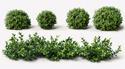 Obraz premium A set of green garden bushes, cut out on a white background in hyperrealistic 4K.