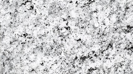 Obraz premium Close-up of a textured white and black granite surface, perfect for modern design projects.
