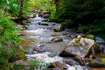 Hiking along Otterbach in the Otterbach Valley in the Bavarian Forests. Germany.