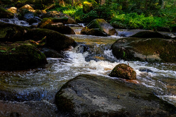 Hiking along Otterbach in the Otterbach Valley in the Bavarian Forests. Germany.