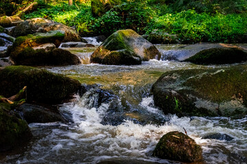 Hiking along Otterbach in the Otterbach Valley in the Bavarian Forests. Germany.