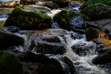 Hiking along Otterbach in the Otterbach Valley in the Bavarian Forests. Germany.