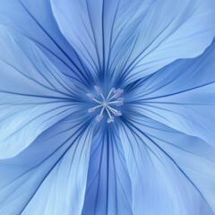 A close-up of a blue flower, every petal radiating outward in perfect symmetry, soft blue tones