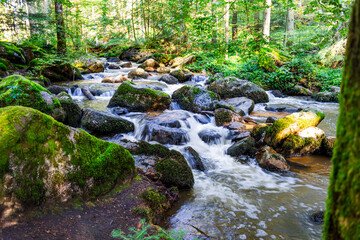 Fototapeta premium Hiking along Otterbach in the Otterbach Valley in the Bavarian Forests. Germany.