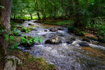 Obraz premium Hiking along Otterbach in the Otterbach Valley in the Bavarian Forests. Germany.