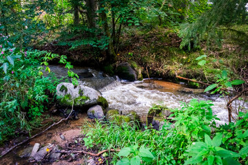 Hiking along Otterbach in the Otterbach Valley in the Bavarian Forests. Germany.