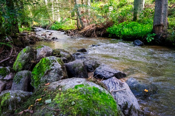 Hiking along Otterbach in the Otterbach Valley in the Bavarian Forests. Germany.