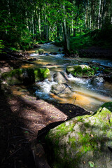 Obraz premium Hiking along Otterbach in the Otterbach Valley in the Bavarian Forests. Germany.
