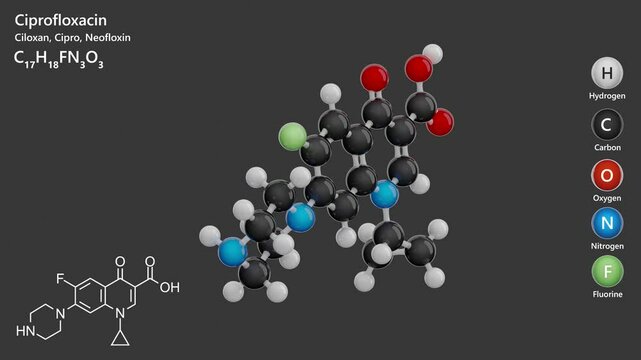 Ciprofloxacin. Antibiotic. Animated 3D model of a molecule. Molecular formula: C17H18FN3O3. Chemical model: Ball and sticks. Gray background. 3D rendering. Seamless loop.