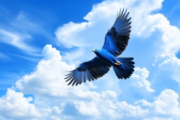 Obraz premium A serene photo of a lone bird flying across a sky filled with layered clouds