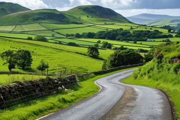 Through The Fields: Scenic Road Winding Through Green Hills and Fields in Glens of Antrim, Northern Ireland