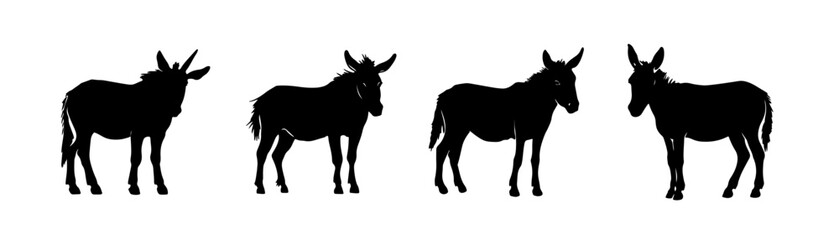 Obraz premium Silhoutte of donkeys animal livestock