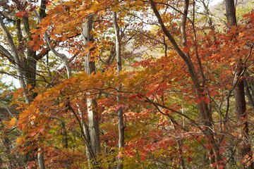 남해 금산 보리암 다랭이 마을