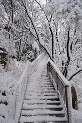 용마산 설산, 망우산 설산, 첫눈