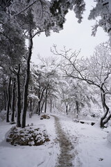 용마산 설산, 망우산 설산, 첫눈